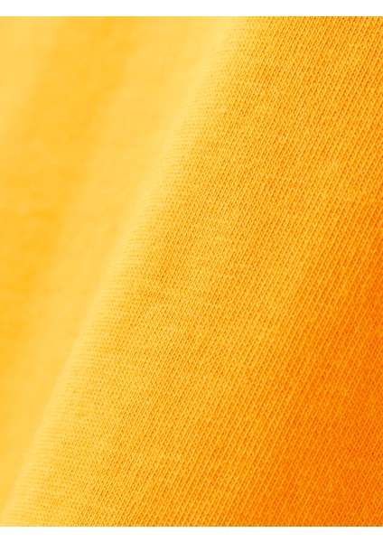 Galatasaray Erkek T-Shirt E252099 indirimleri