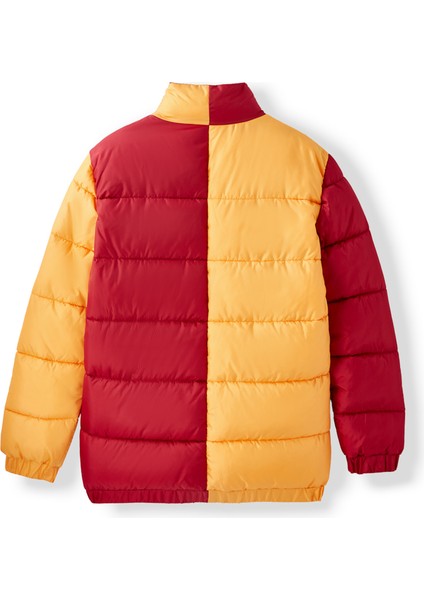 Galatasaray Erkek Mont E252133 modelleri