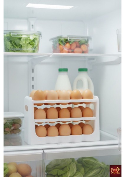30’lu Yumurta Organizer – Buzdolabı Düzenleyici fırsatları