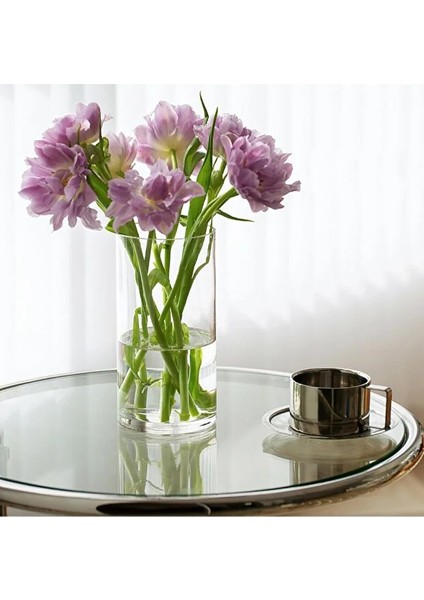 1 Adet Silindir Cam Vazo 20 cm Yükseklik 10 cm Genişlik El Imalatıdır fırsatları