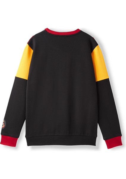 Galatasaray Çocuk Sweatshirt C252070 fiyatları