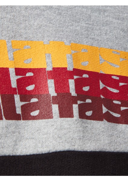 Galatasaray Çocuk Sweatshirt C252070 modelleri