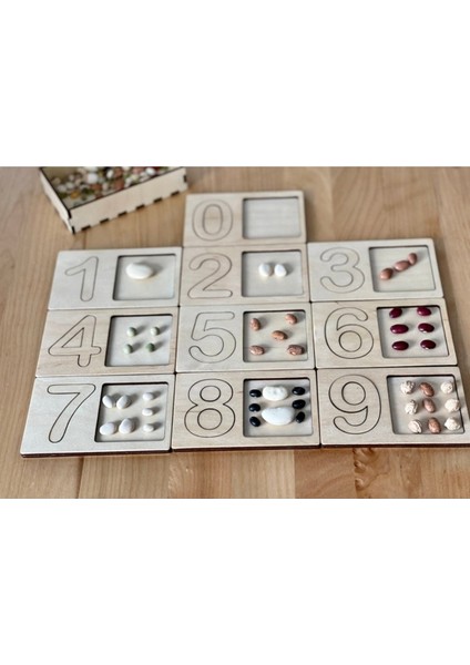 Fasulye Sayma ve Miktarları Öğrenme Oyunu, Eğitici ve Eğlenceli Öğrenme Seti