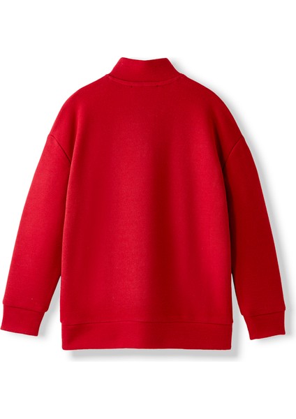 Galatasaray Çocuk Yarım Zip Hoodie C252074 fiyatları