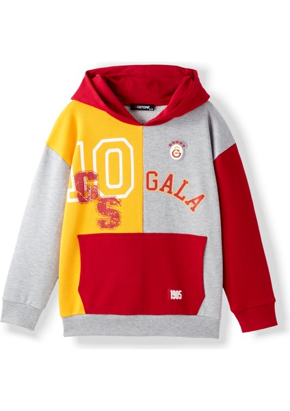 Galatasaray Çocuk Hoodie C252085