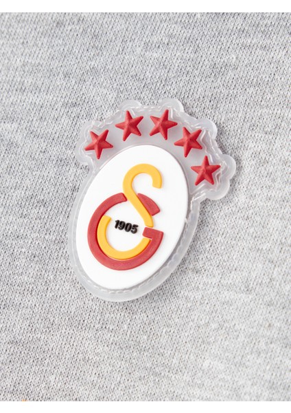 Galatasaray Çocuk Hoodie C252085 fiyatları