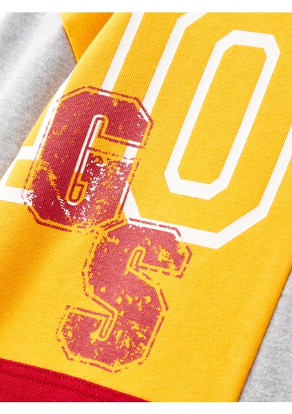 Galatasaray Çocuk Hoodie C252085 indirimleri