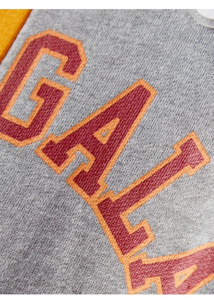 Galatasaray Çocuk Hoodie C252085