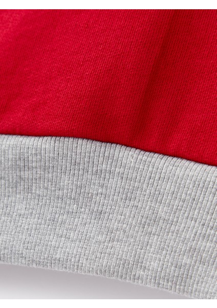 Galatasaray Çocuk Hoodie C252085