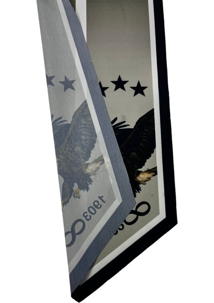 Taraftar Kara Kartal Estascarf Kravat / Fular 85 x 23CM modelleri