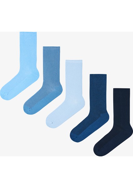 5 Çift Pamuklu Ribli Renkli Soket Çorap