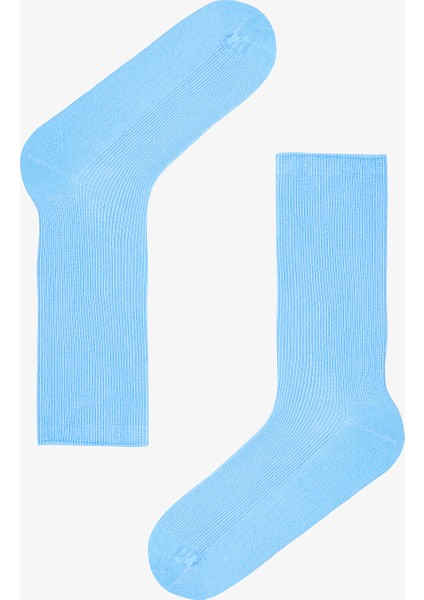 5 Çift Pamuklu Ribli Renkli Soket Çorap fiyatları