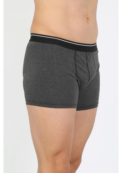 Erkek Pamuk Likralı Boxer Antrasit fırsatları