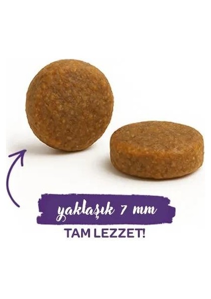 Life Adult Devekuşlu & Yaban Mersinli Kuru Kedi Maması 8 kg modelleri