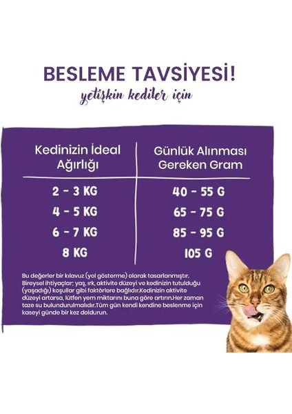 Life Adult Devekuşlu & Yaban Mersinli Kuru Kedi Maması 8 kg fırsatları