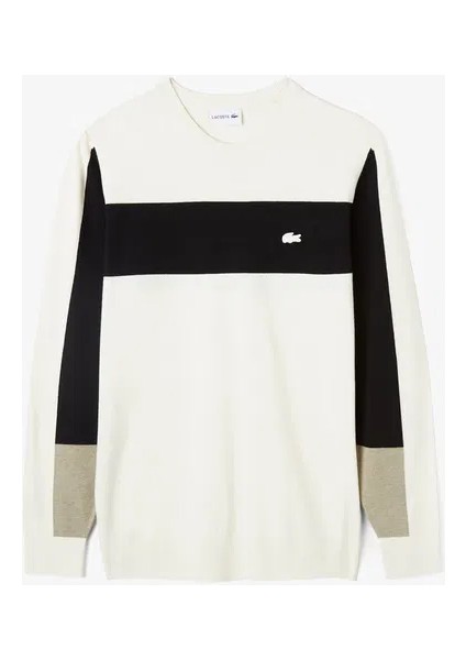 Erkek Regular Fit Uzun Kollu Bisiklet Yaka Renk Bloklu Ekru Triko modelleri