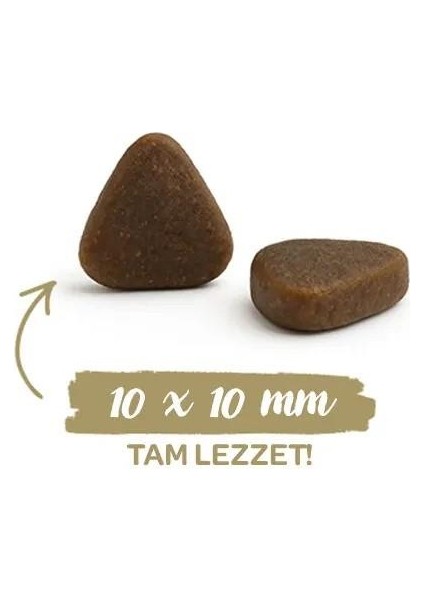 Hair Skin Sağlıklı Tüy Gelişimi Için Yetişkin Kedi Maması 8 kg modelleri