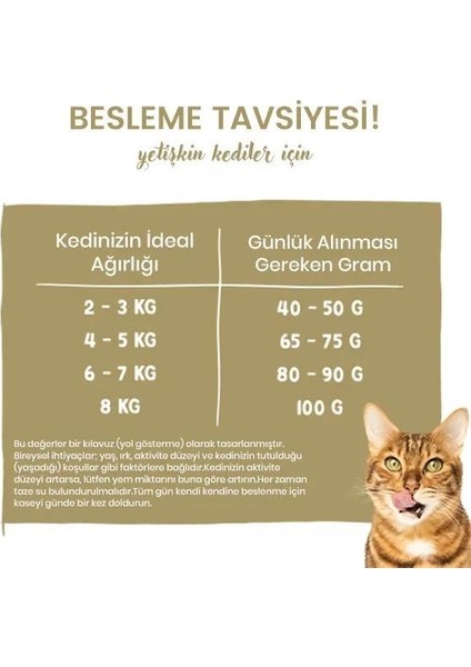 Hair Skin Sağlıklı Tüy Gelişimi Için Yetişkin Kedi Maması 8 kg fırsatları