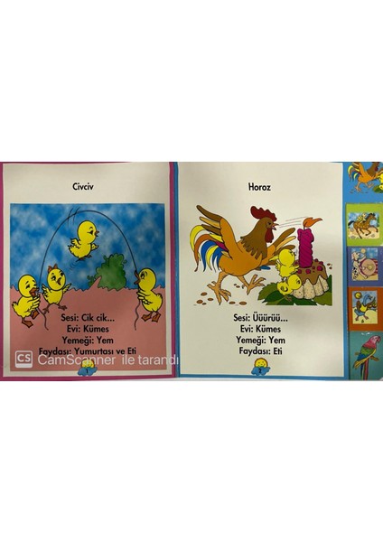 2-5 Yaş Okul Öncesi Eğitici ve Öğretici Karton Kitaplar Seti (3 Kitap) modelleri