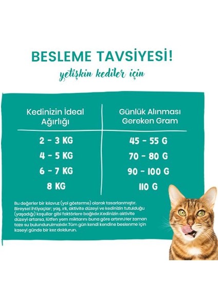 Dental Ağız ve Diş Sağlığına Özel Kedi Maması 8 kg modelleri
