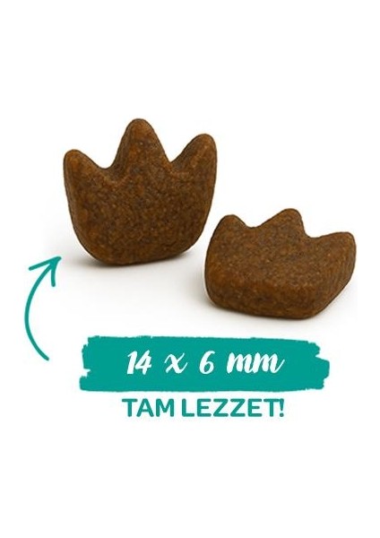 Dental Ağız ve Diş Sağlığına Özel Kedi Maması 8 kg fırsatları