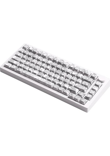 Black Gradiant Rgb Kablosuz Hotswap Mekanik Gaming Klavye Oyuncu Klavye