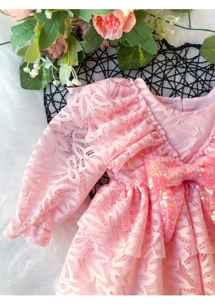 Lola Kız Bebek Pembe Dantel Detaylı Uzun Kollu Özel Gün Bayramlık Abiye Elbise fırsatları