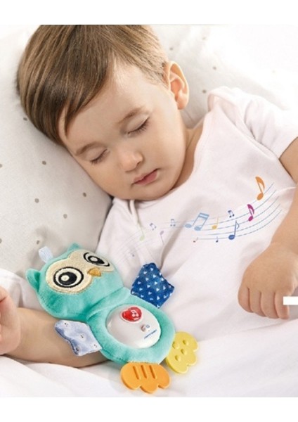 Bebek Uyku Baykuşu fiyatları