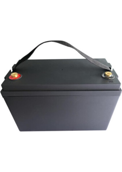 Zeytin Silkme Makinası Uyumlu 12 Volt 60 Ah Lifepo4 Batarya modelleri