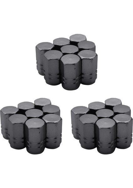 24 Adet Lastik Gövde Valf Kapakları Tekerlek Valfi Kapaklar Araba Toz Geçirmez Lastik Kapağı Altıgen Şekli Titanyum Gri (Yurt Dışından)