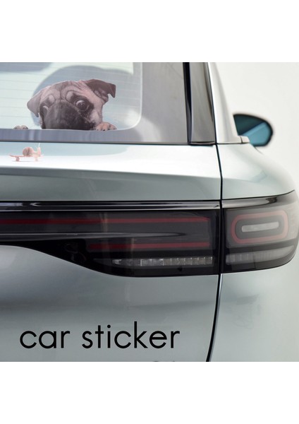 Komik Sevimli Pet Pug Köpek Salyangoz 3D Araba Pencere Çıkartmaları Ev Duvar Sticker Dekorasyon (Yurt Dışından) modelleri