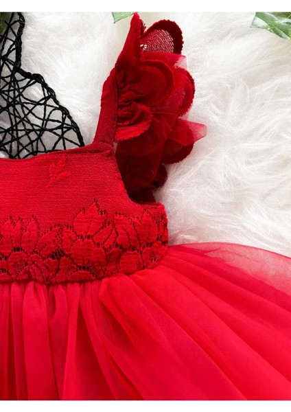 Nomi Kız Bebek Elbise fırsatları