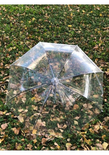8 Telli Fiber Iskelet Otomatik Açılır Şeffaf Şemsiye, Hafif ve Dayanıklı Tasarım