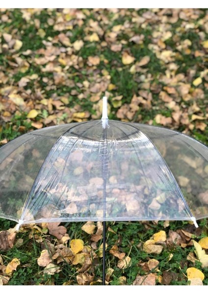 8 Telli Fiber Iskelet Otomatik Açılır Şeffaf Şemsiye, Hafif ve Dayanıklı Tasarım modelleri