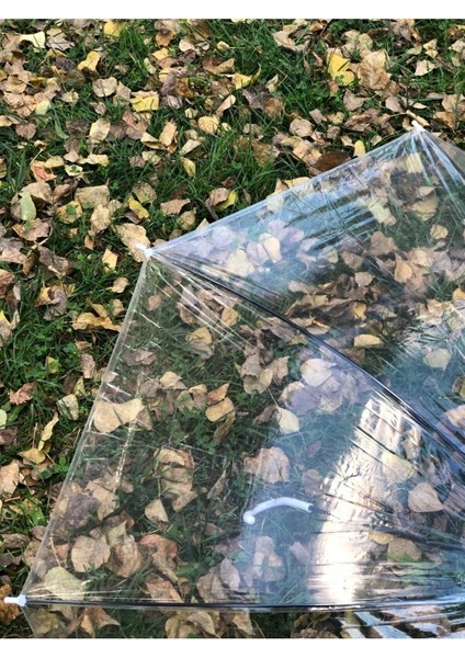 8 Telli Fiber Iskelet Otomatik Açılır Şeffaf Şemsiye, Hafif ve Dayanıklı Tasarım fırsatları