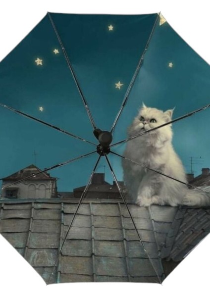 Çatı Kedi Desenli Gece Ay Yıldız 8 Telli Rüzgarlı Şemsiye, Çok Renkli modelleri