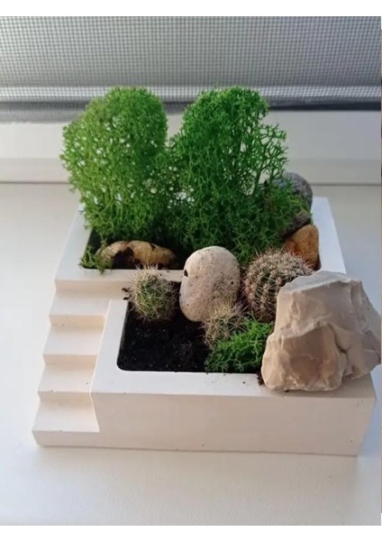 Bahçe ve Ofis Düzenleyici - Sukulent Saksısı & Ataç Tutucu modelleri