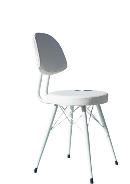 Kav Mutfak Sandalyesi, Yemek, Bahçe, Kafe, Modern Sandalye - Beyaz Deri, Beyaz Gövde fiyatları