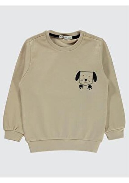 Erkek Çocuk Bej Sweatshirt 2-5 Yaş Bisiklet Yaka Düz Renk Truvakar Kol modelleri