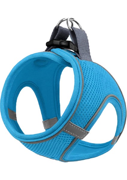 12’lı Set Air Mesh Antibakteriyel L Gögüs Tasması Turkuaz