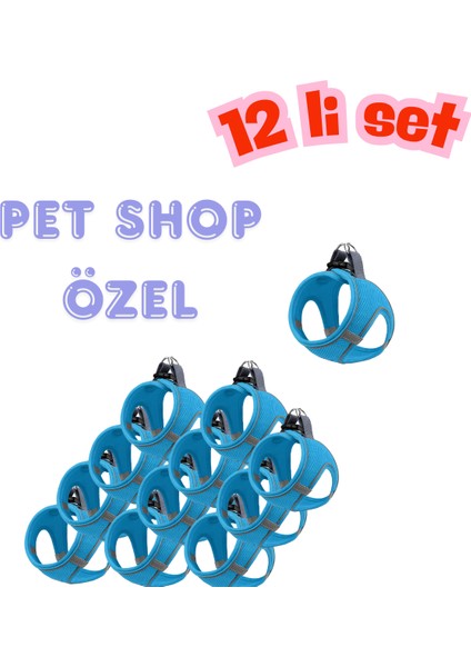 12’lı Set Air Mesh Antibakteriyel L Gögüs Tasması Turkuaz fiyatları