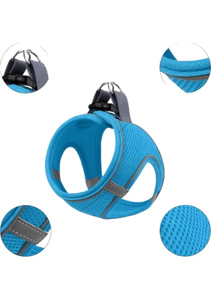 12’lı Set Air Mesh Antibakteriyel L Gögüs Tasması Turkuaz modelleri