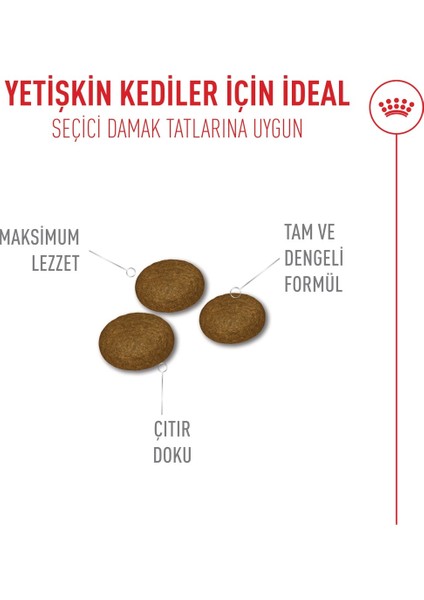 Fussy Exigent Seçici Kediler Için Kuru Kedi Maması 400g