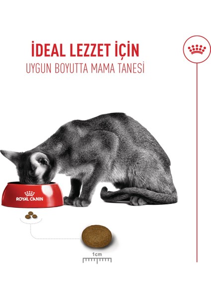 Fussy Exigent Seçici Kediler Için Kuru Kedi Maması 400g