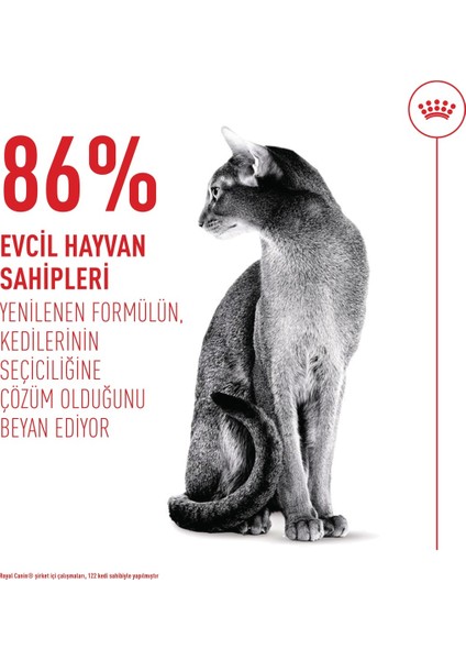 Fussy Exigent Seçici Kediler Için Kuru Kedi Maması 400g