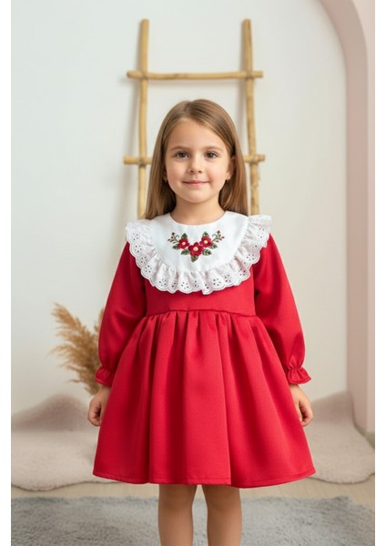 ALYRA Kız Çocuk Elbise Kız Bebek Uzun Kollu Çiçek Nakışlı Astarlı Kabarık Özel Gün Doğum Günü Parti Düğün Saten Elbise Bebek Giyim ALY0230