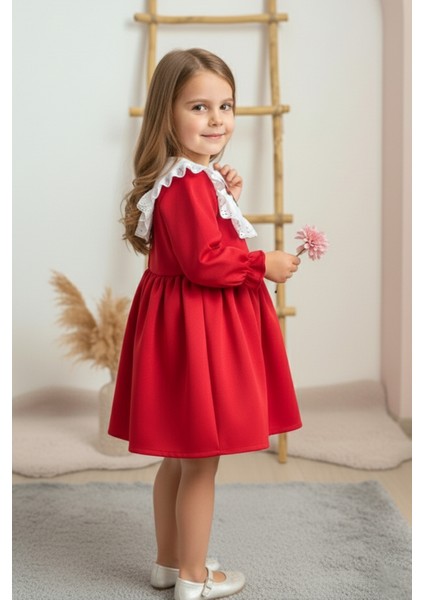 ALYRA Kız Çocuk Elbise Kız Bebek Uzun Kollu Çiçek Nakışlı Astarlı Kabarık Özel Gün Doğum Günü Parti Düğün Saten Elbise Bebek Giyim ALY0230 fiyatları