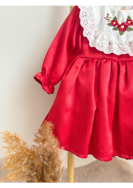 ALYRA Kız Çocuk Elbise Kız Bebek Uzun Kollu Çiçek Nakışlı Astarlı Kabarık Özel Gün Doğum Günü Parti Düğün Saten Elbise Bebek Giyim ALY0230 modelleri