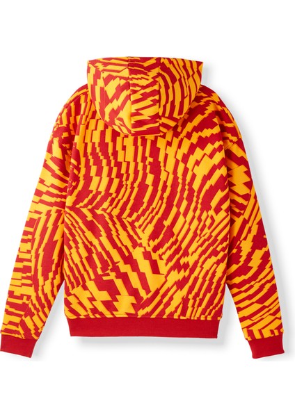 Galatasaray Çocuk Hoodie C252110 fiyatları