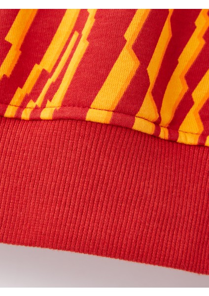 Galatasaray Çocuk Hoodie C252110 indirimleri